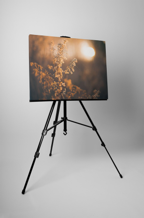 Tablou canvas : Asternut de toamna [2]