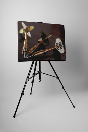 Tablou canvas : Darts [2]