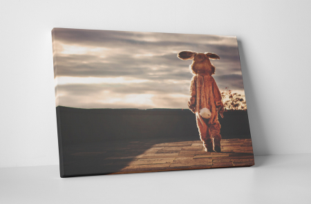 Tablouri Canvas - Tablou canvas : Iepurele singuratic