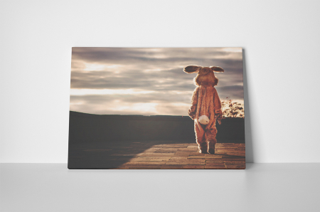 Tablou canvas : Iepurele singuratic [1]