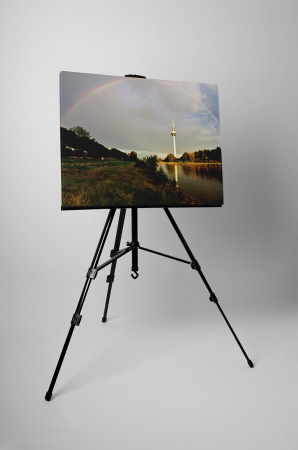 Tablou canvas : Turnul de televiziune [2]