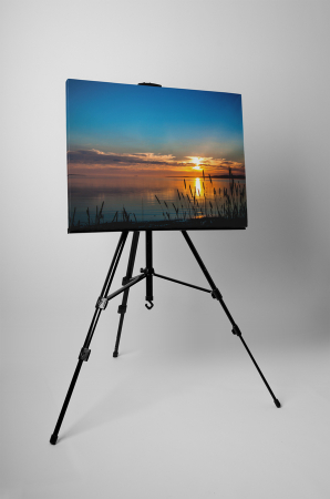 Tablou canvas : Momente placute [2]