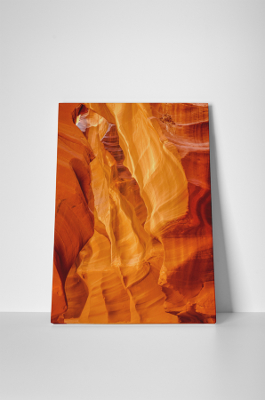 Tablou canvas : Stanci speciale [1]