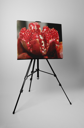 Tablou canvas : Rodie desfacuta [2]