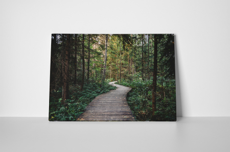 Tablouri Canvas - Tablou canvas : Prin padure