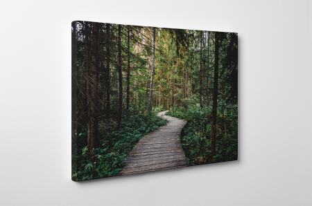 Tablou canvas : Prin padure [2]
