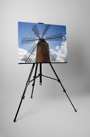 Tablou canvas : Moara de vant [2]