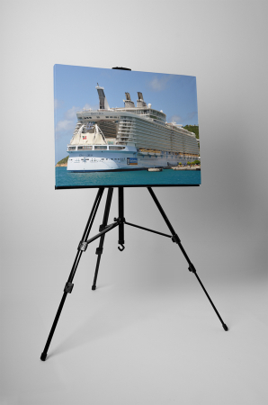 Tablou canvas : Oasis of the Seas [2]