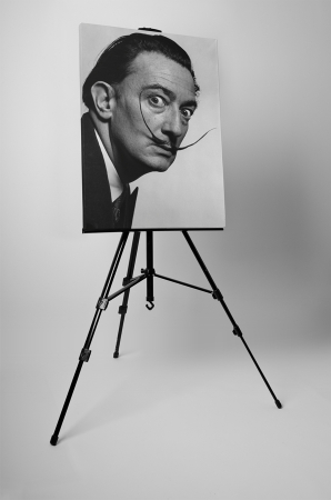 Tablou canvas : Salvador Dali [2]