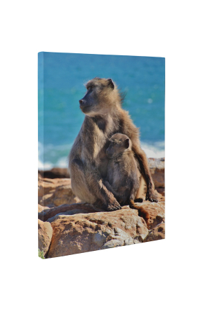 Tablou canvas : Familie de maimute [4]