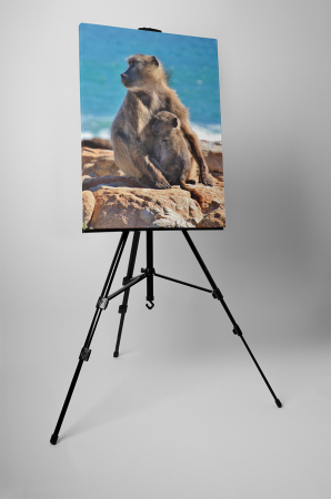 Tablou canvas : Familie de maimute [2]