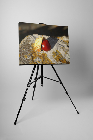 Tablou canvas : Castan [2]