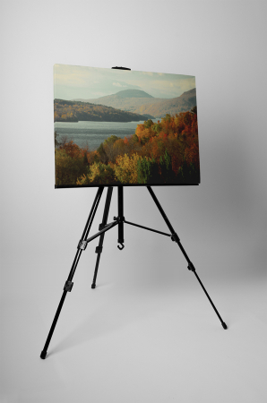 Tablou canvas : Muntii toamna [2]