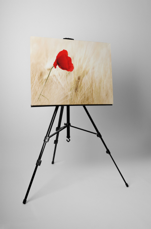 Tablou canvas : Macul [2]