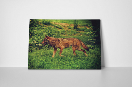 Tablou canvas : Caine la vanatoare [1]