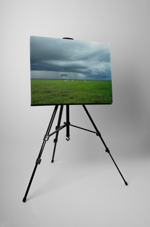 Tablou canvas : Animale pe camp [2]