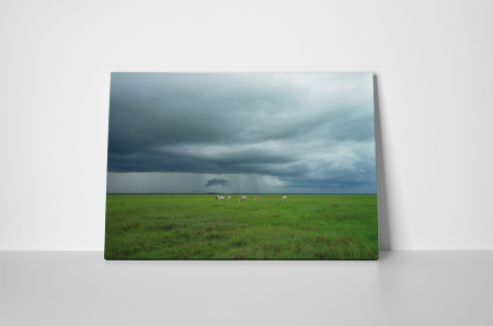 Tablou canvas : Animale pe camp [1]