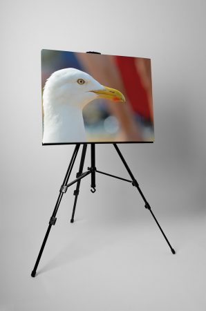 Tablou canvas : Portret de pescarus [2]