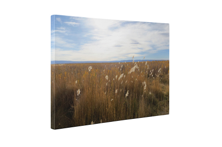 Tablou canvas : Campul [4]