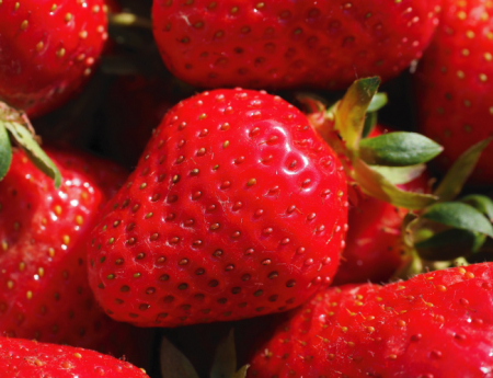 Tablou canvas : Strawberry [3]