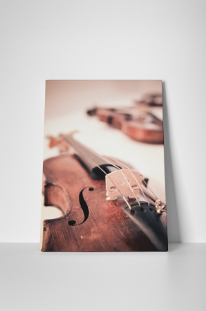 Tablou canvas : Vioara [1]