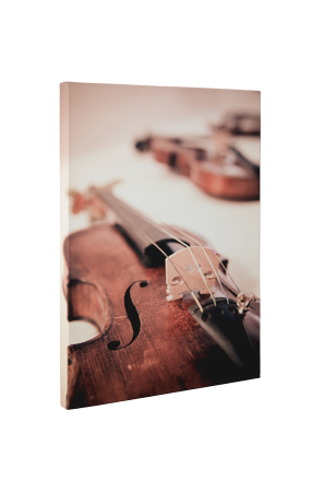 Tablou canvas : Vioara [4]