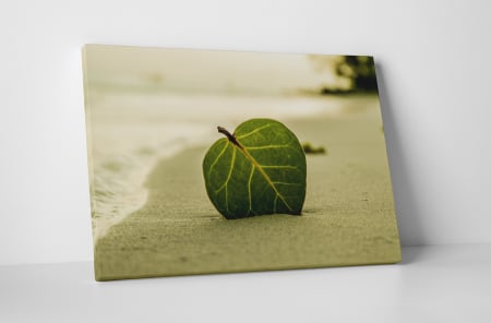 Natură - Tablou canvas : Frunza in nisip