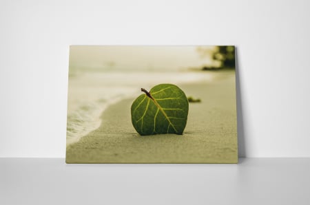 Tablou canvas : Frunza in nisip [1]