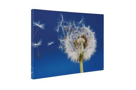 Tablou canvas : Papadia vara [4]