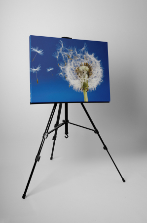 Tablou canvas : Papadia vara [2]