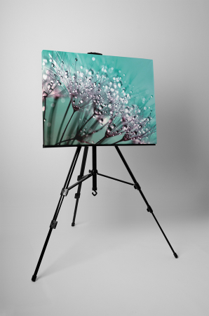 Tablou canvas : Papadii incarcate de roua [2]