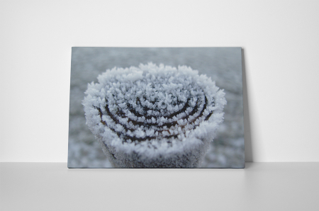 Tablou canvas : Gerul [1]