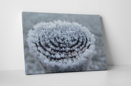 Natură - Tablou canvas : Gerul