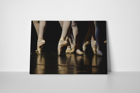 Tablou canvas : Balet [1]