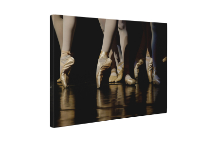 Tablou canvas : Balet [4]
