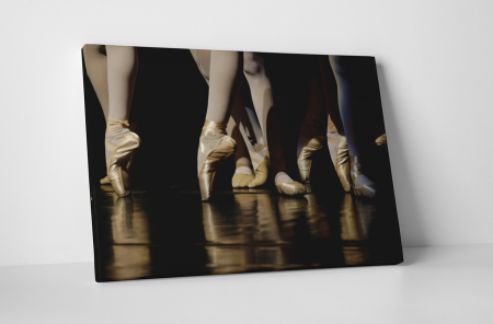Tablouri Canvas - Tablou canvas : Balet