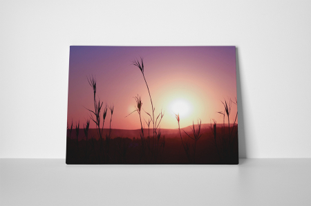 Tablou canvas : In the sunset [1]