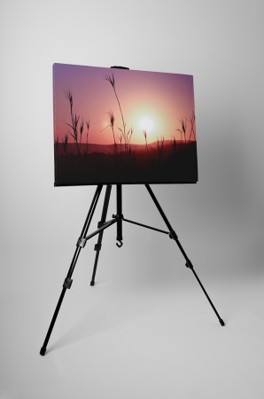 Tablou canvas : In the sunset [2]
