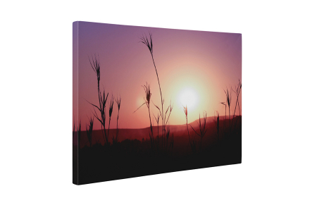 Tablou canvas : In the sunset [4]