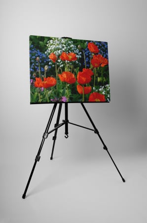 Tablou canvas : Campul cu flori [2]