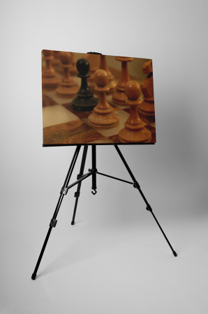 Tablou canvas : Piese de sah [2]