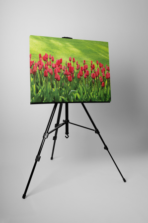Tablou canvas : Lalele frumoase [2]