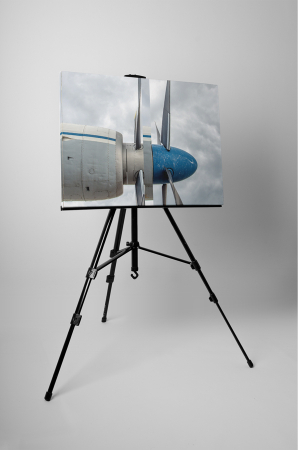 Tablou canvas : Elice [2]