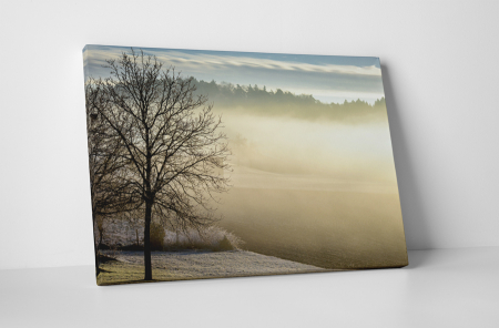 Peisaje - Tablou canvas : Rasarit de soare