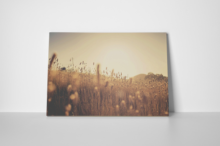 Tablouri Canvas - Tablou canvas : Miroase a vara