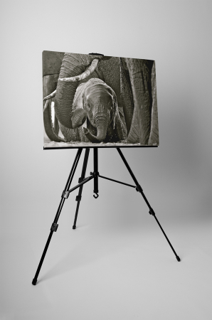 Tablou canvas : Pui de elefant [2]