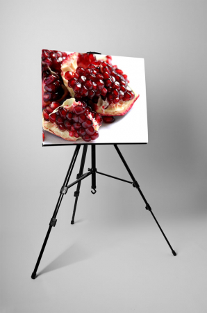 Tablou canvas : Rodie feliata [2]