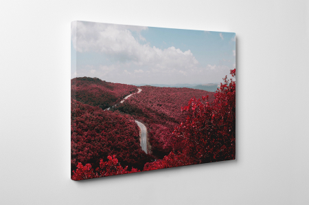 Tablou canvas : Rosu e culoarea mea preferata [2]