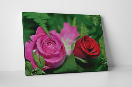 Tablouri Canvas - Tablou canvas : Doua trandafiri