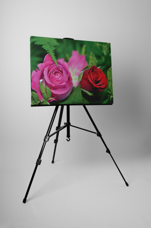 Tablou canvas : Doua trandafiri [2]